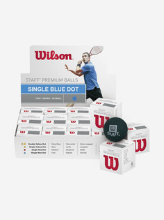Мяч для сквоша Wilson, Мультицвет