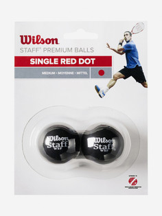 Мяч для сквоша Wilson, Мультицвет