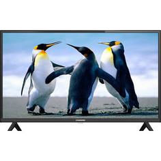 Телевизор StarWind SW-LED40SB304 (40, FullHD, Яндекс, Smart TV) черный