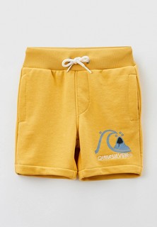 Шорты спортивные Quiksilver