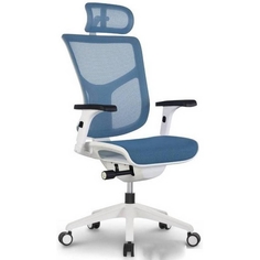 Эргономичное подростковое кресло Expert Vista VSM01 /сетка голубая/ каркас белый