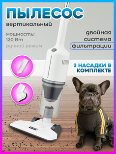 Вертикальный пылесос Proffi PH10640 White