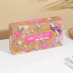 Салфетки бумажные в коробке «Райский сад», 100 шт. No Brand