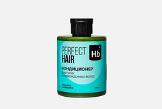 Кондиционер Holy Beauty Perfect Hair для сухих и повреждённых волос, 300 мл