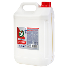 Средство от налета и ржавчины Cif Professional концентрат 5л + Domestos Professional 1л