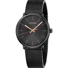 Наручные часы мужские Calvin Klein K8M21421 черные