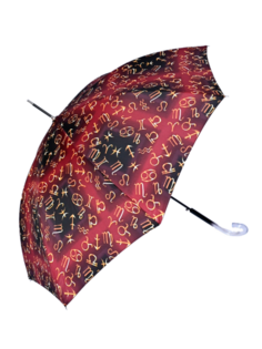 Зонт женский ZEST 51616 бордово-черный