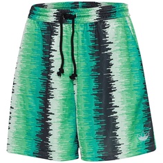 Шорты женские Adidas FM1962 разноцветные 38