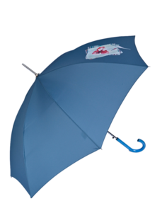 Зонт женский Airton 1621 синий