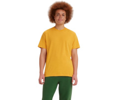 Футболка мужская Levis A4417-0001 желтая M Levis®