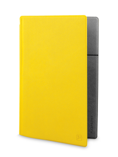 Конверт для путешествий Flexpocket KOXP-02 желто-серый