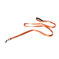 Поводок для собак Foxie Fantasy, 1,9х200 см