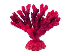 Коралл для аквариума Grotaqua Акабария 9x5x7 см розовый