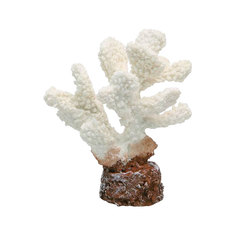 Коралл для аквариума Vitality белый 10,2х7,2х12 см