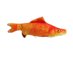 Игрушка для кошек ZooWell рыбка Карп с кошачьей мятой, 20 см