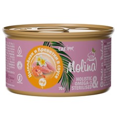 Влажный корм для кошек MOLINA Цыпленок и креветки в соусе, 70г