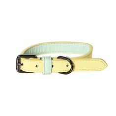 Ошейник для собак Foxie Loving, желтый, S, 1,6x22-30 см