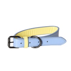 Ошейник для собак Foxie Loving, голубой, S, 1,6x22-30 см