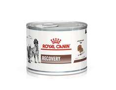 Влажный корм для собак и кошек Royal Canin Recovery послеоперационное питание 12шт по 195г