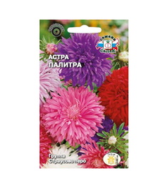 Семена Астра Палитра смесь Седек Однолетние артикул 65218 0,2 гр