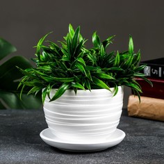 Цветочный горшок Нежность 0,5 л белый 1 шт. No Brand