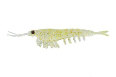 Приманка Nikko Okiami Shrimp L 58мм #Yellow Glitter