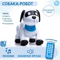 IQ BOT Робот-собака Дружок Лакки, звук, свет SL-05864 No Brand