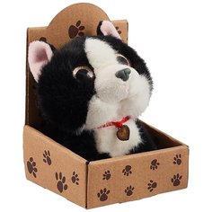 Котик черный в крафт коробке No Brand