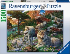 Пазл Ravensburger 1500 Волки весной, арт.16598