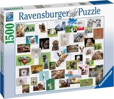 Пазл Ravensburger 1500 Забавные животные, арт.16711