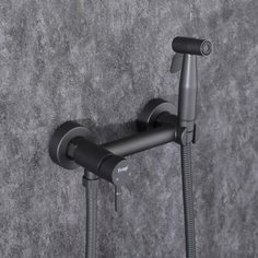 Смеситель для душа, с гигиеническим лейкой FRAP F7503-9