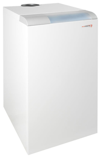 Газовый отопительный котел Protherm Медведь 40 PLO