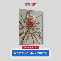 Картина на холсте для интерьера Первое ателье арт Распускающаяся протея 40х60 см