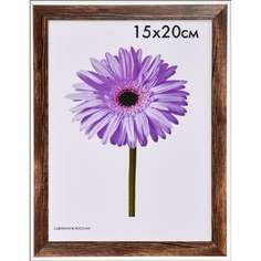 ООО Изометрика Рамка пласт. Lada 40*50см орех 0097-16-0006