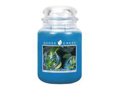 Ароматическая свеча GOOSE CREEK Blueberry Limeade 150ч ES26473-vol