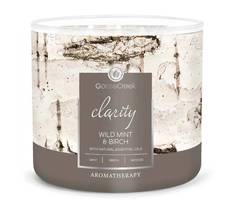 Ароматическая свеча GOOSE CREEK Wild Mint & Birch 35ч АС151184-vol