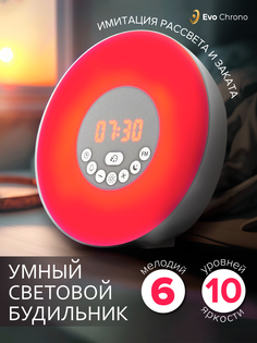 Электронный будильник/Настольные часы с FM Приключения Электроники
