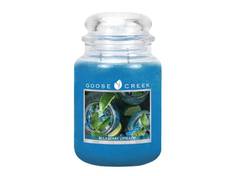 Ароматическая свеча GOOSE CREEK Blueberry Limeade 75ч ES16473-vol