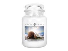 Ароматическая свеча GOOSE CREEK Soothing Coconut 150ч ES26202-vol