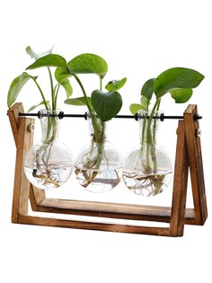 Стеклянная Ваза для выращивания растений гидропоника подставка на 3 колбы Паприка Корица