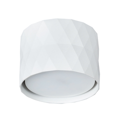 Потолочный светильник Arte Lamp FANG A5552PL-1WH