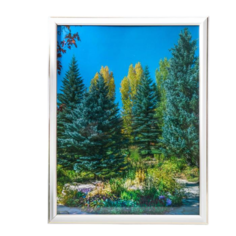 Фоторамка 30х40 281G белая с золотом(пластиковый экран) No Brand