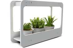 Светильник светодиодный декоративный PMG 002 LED 14w 4000K ( подставка для цветов) JazzWay