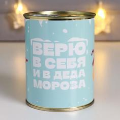 Копилка-банка металл "Верю в себя и в Деда Мороза" No Brand