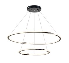 Подвесная люстра Arte Lamp VERITATE A2211SP-2BK