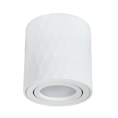 Потолочный светильник Arte Lamp FANG A5559PL-1WH