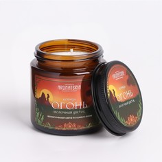 Свеча Дикая охота. Огонь из соевого воска в банке, 25 ч, 120 мл, корица No Brand