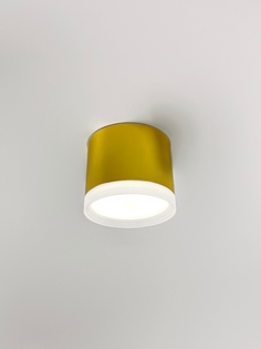 Светильник потолочный накладной Sapfire точечный спот gx53