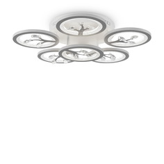 Потолочный светильник Freya Bodge FR10017CL-L92W