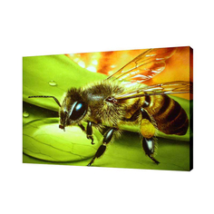 Картина на холсте на стену Сити бланк Пчела 30х40 см